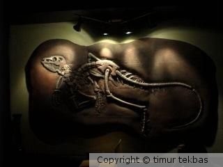velociraptor wall plaque