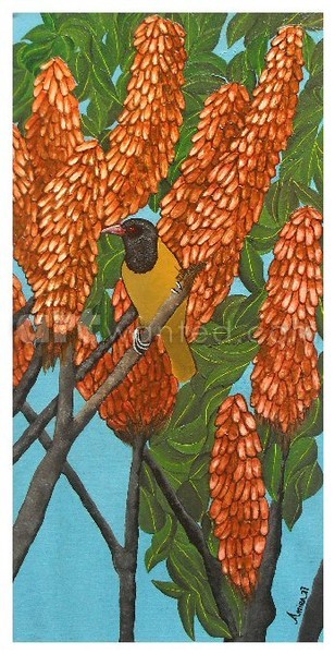 Oriole