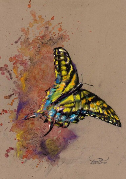 Emerge of a butterfly