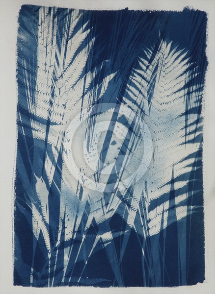 Leaves in blue