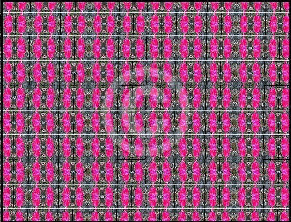Crystallographicology 9