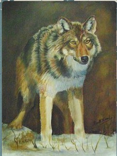 Wolf 3