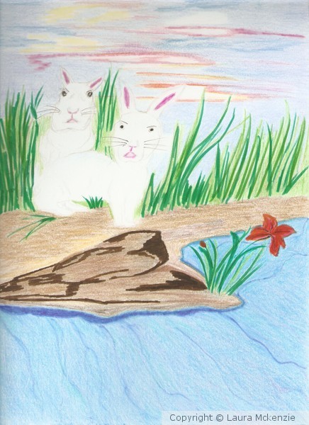 The worried rabbits 