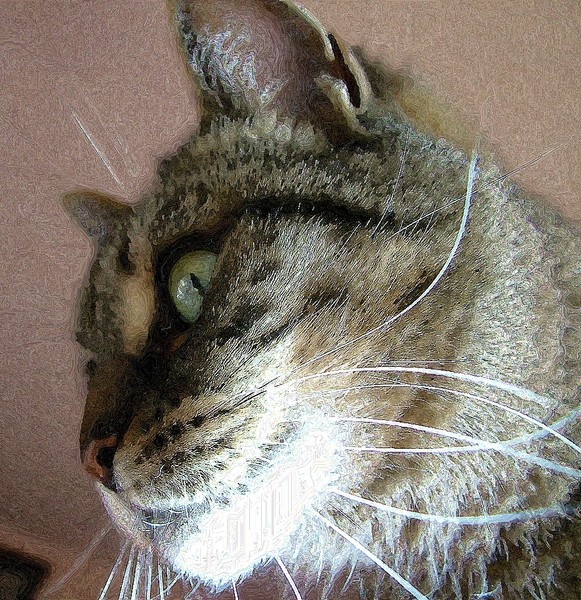 Smokey