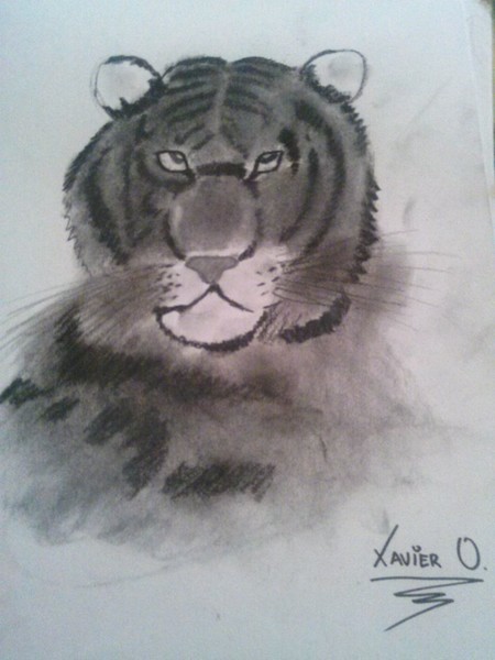 tiger face