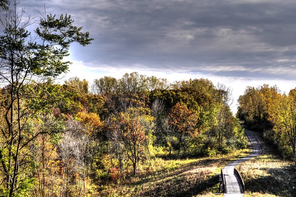 Fall at Raceway Woods