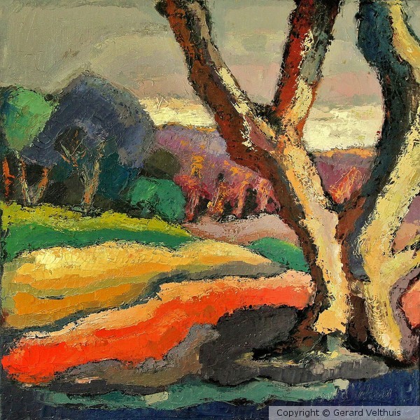 7.GerardVelthuis 80x80