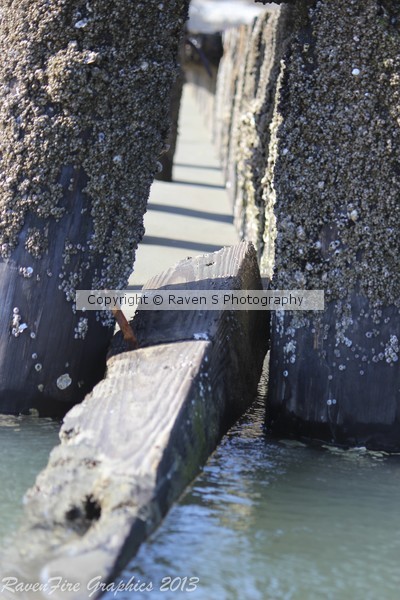 Pilings in the sand