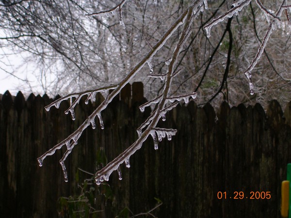 ice!