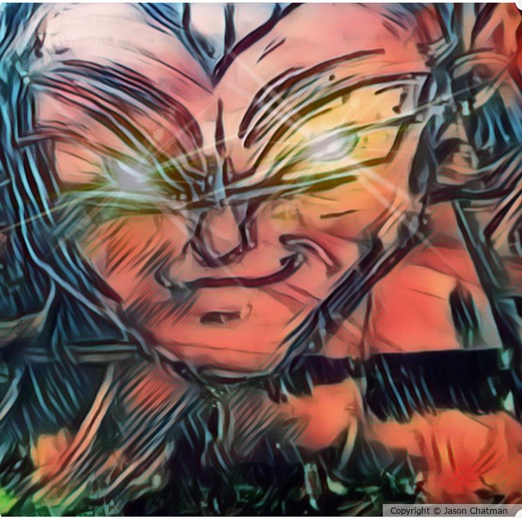 The Sayain Prince