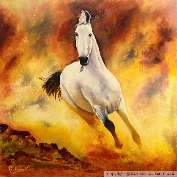 STALLION