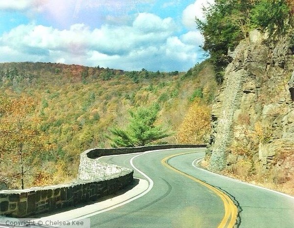 Hawk's Nest