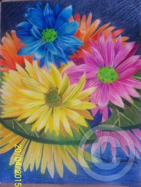 Spring Daises
