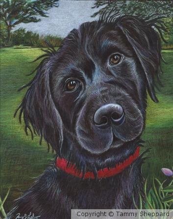 Woodrow