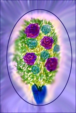 BOKAY LILAC