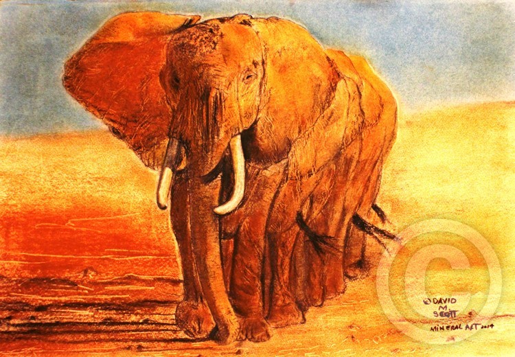 West African Bull Elephants in Formation 