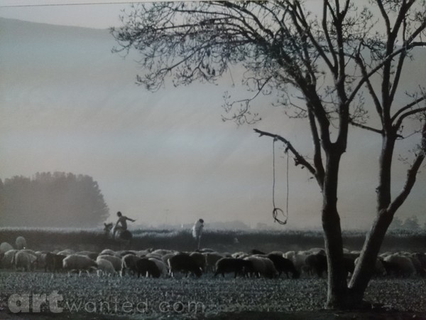 fine art print