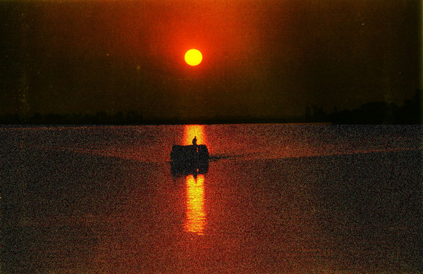sunderbans