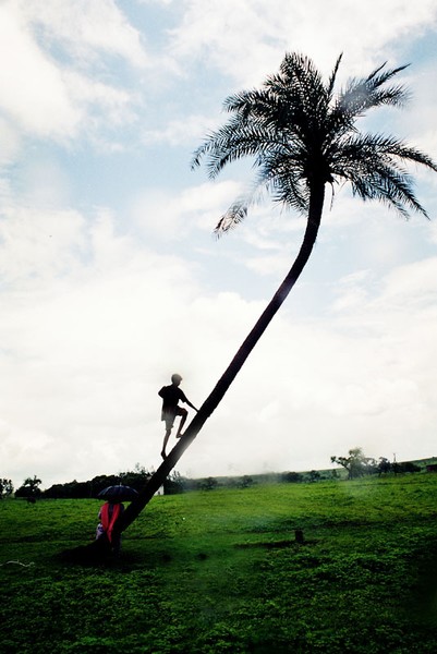 Up the ? tree