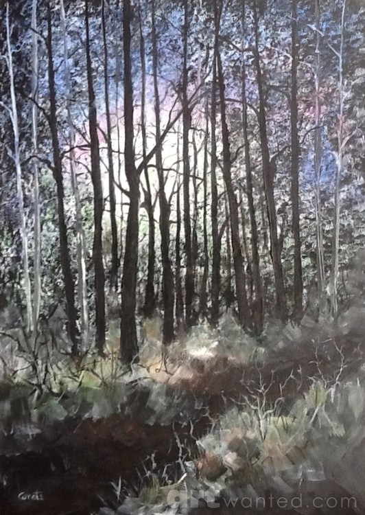 Evening forest
