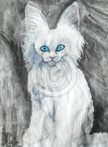 Blue Eyes 