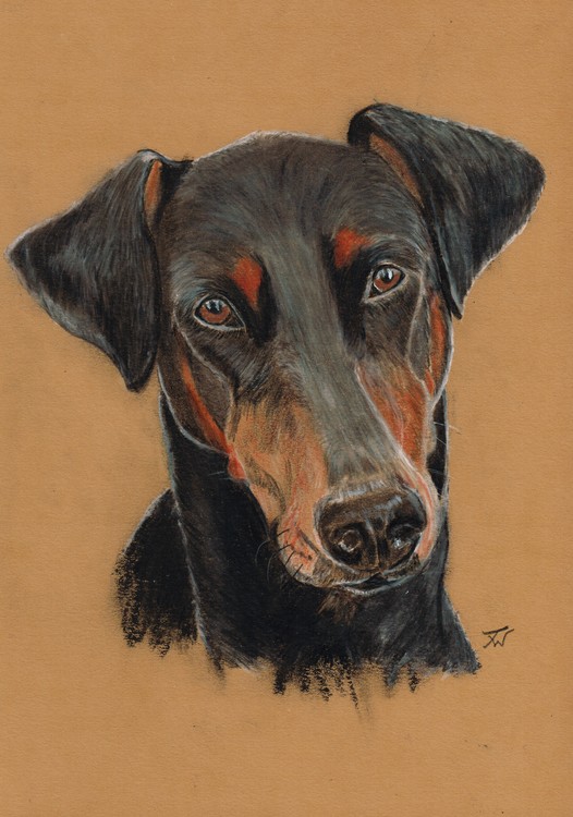 Dobey
