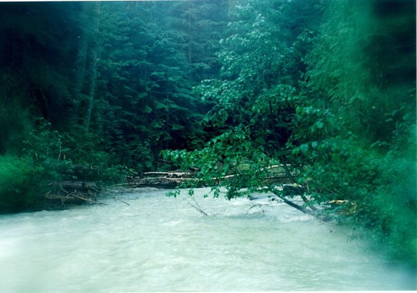Spring run off