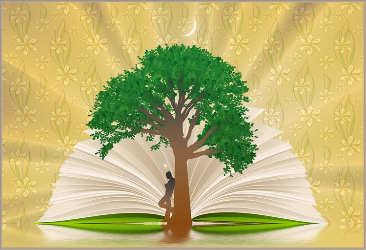 Open Book