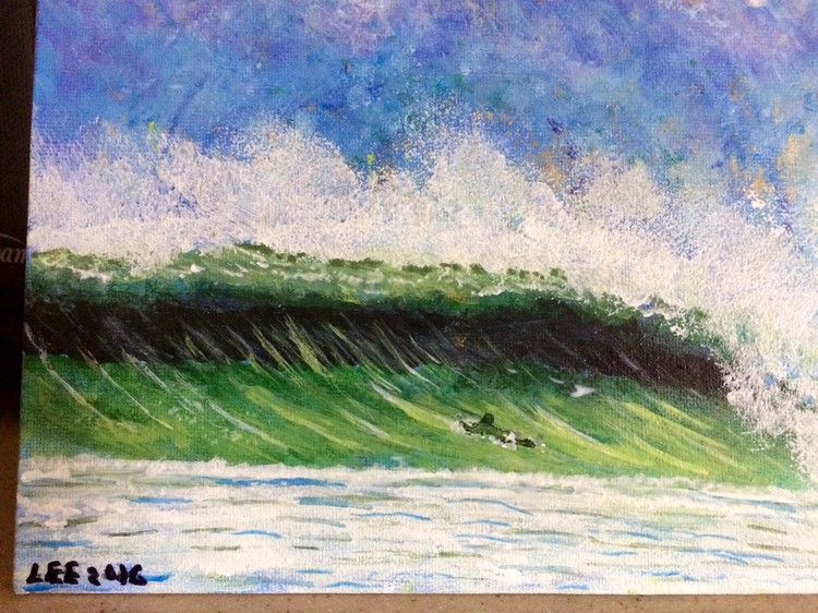 Wild Surf
