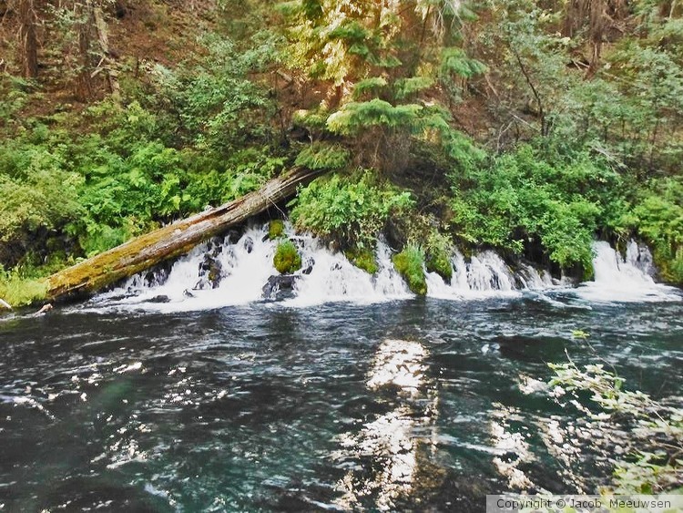 gushing falls