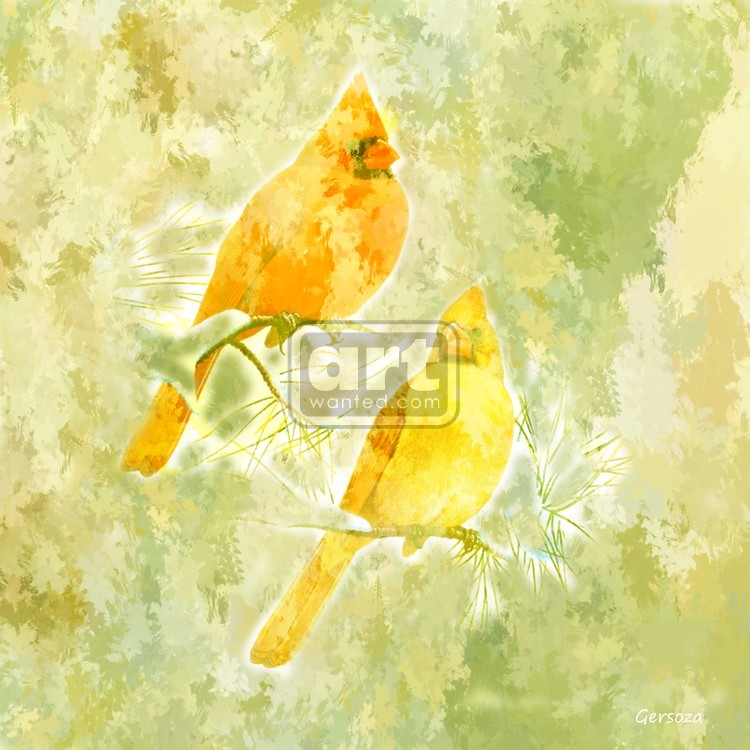 Birds