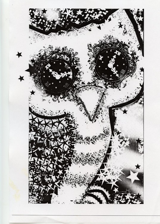 nightowl2