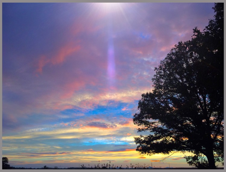 Batesville Sky Light
