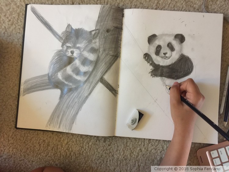 Forest Life by Sophia Fericano, daughter of author.