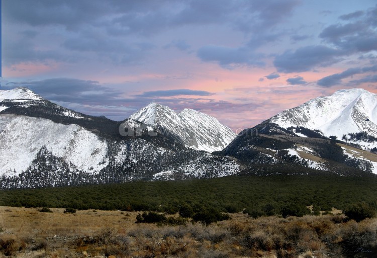 Snow Capped