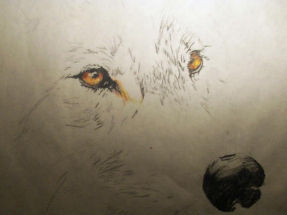 Watchful eyes