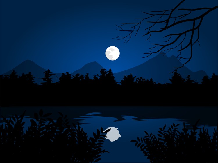 fullmoon in the jungle