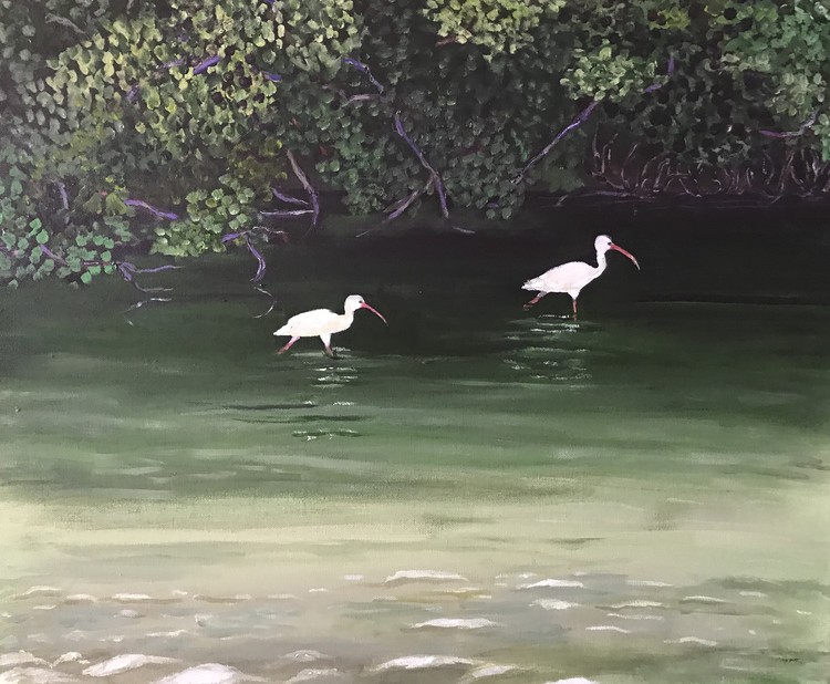 Two Ibis at Estero Bay Park
