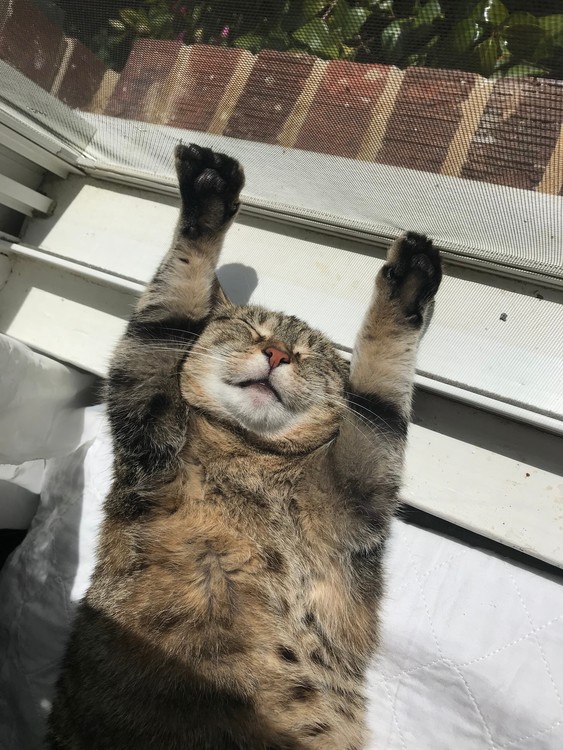 I Worship RA !