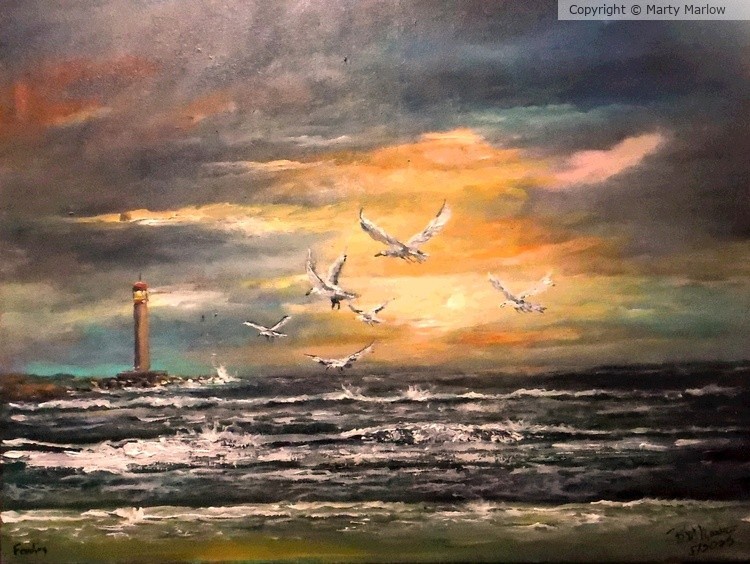 feeding gulls 