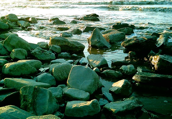 Water's Edge.......