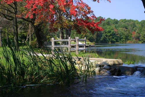 Vibrant Fall