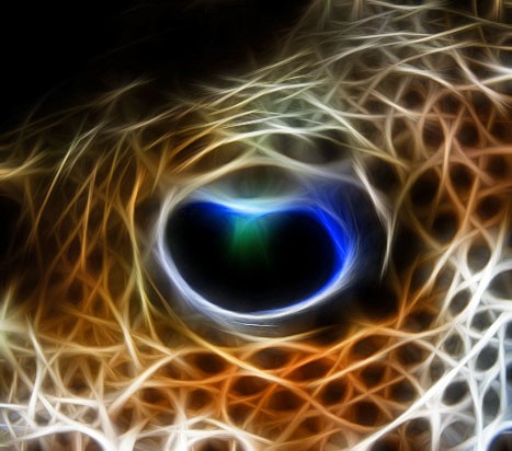 Eye of the Puffer