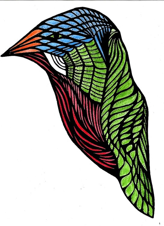 birdy#2