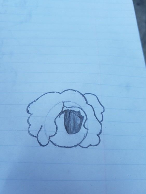 20190507 143559