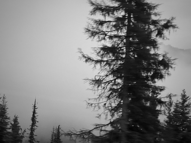 Alaska in Black and White