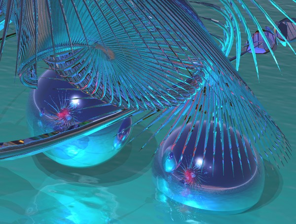 Blue Rose Transition