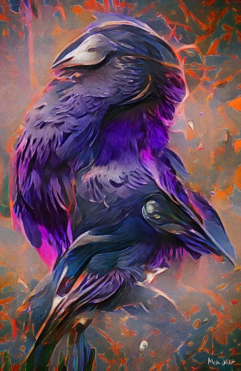 Black bird