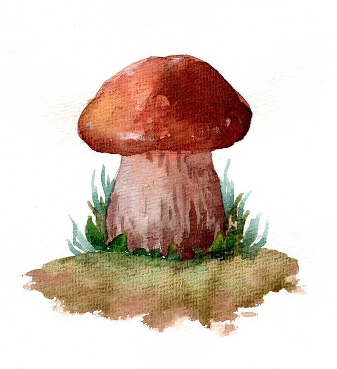 Mushroom