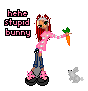 bunny